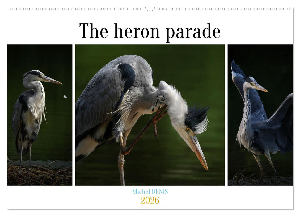 The heron parade (CALVENDO Monthly Calendar 2026)