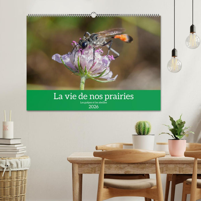 La vie de nos prairies - Les guêpes et les abeilles (CALVENDO Calendrier mensuel 2026)