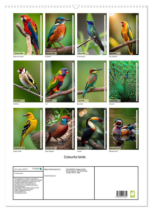 Colourful birds (CALVENDO Monthly Calendar 2026)