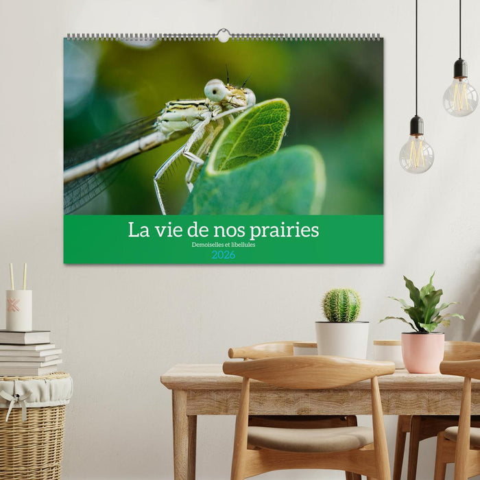 La vie de nos prairies - Demoiselles et libellules (CALVENDO Calendrier mensuel 2026)
