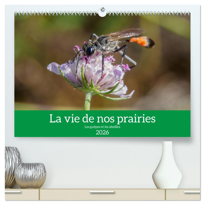 La vie de nos prairies - Les guêpes et les abeilles (CALVENDO Calendrier supérieur 2026)