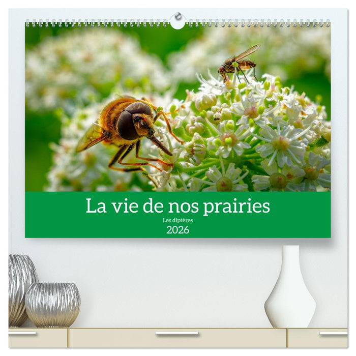 La vie de nos prairies - Les diptères (CALVENDO Calendrier supérieur 2026)