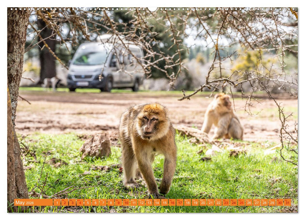 Van Life Road Trip Morocco (CALVENDO Premium-Calendar 2026)