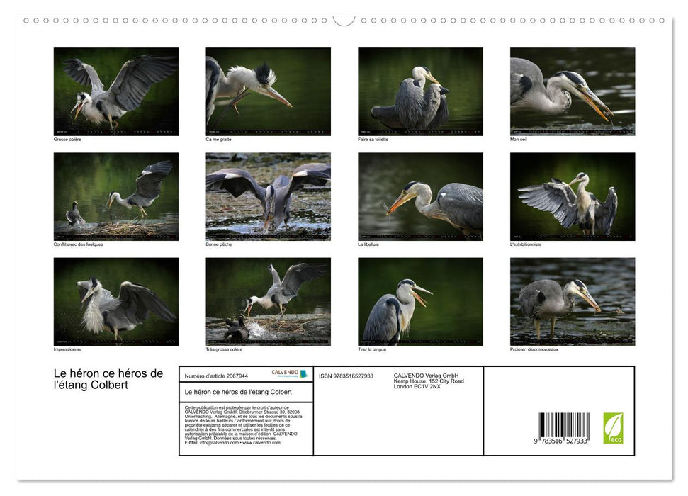 Le héron ce héros de l'étang Colbert (CALVENDO Calendrier supérieur 2026)