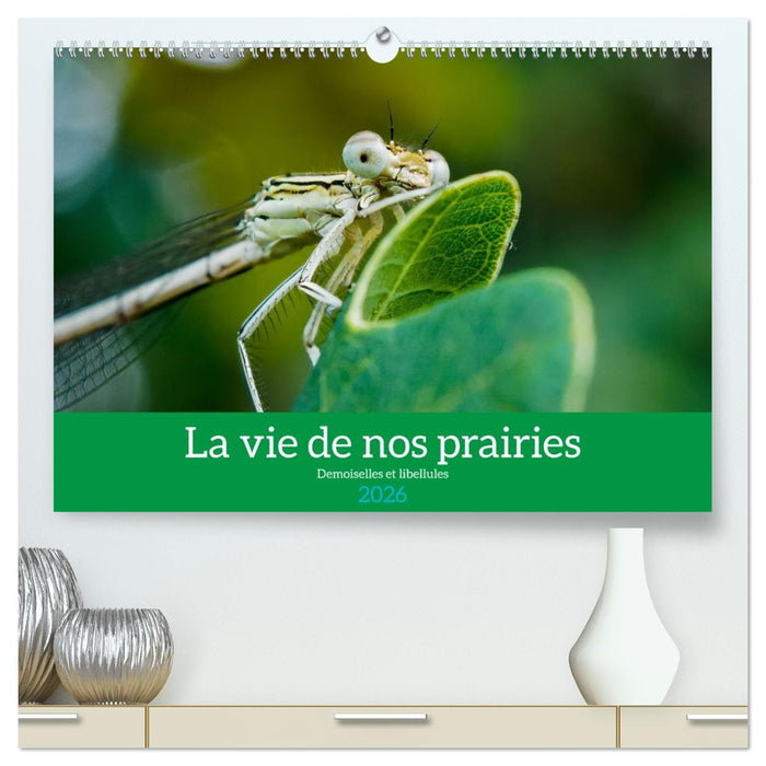 La vie de nos prairies - Demoiselles et libellules (CALVENDO Calendrier supérieur 2026)