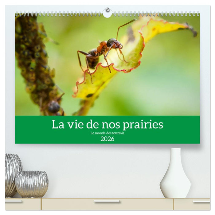 La vie de nos prairies - Le monde des fourmis (CALVENDO Calendrier supérieur 2026)