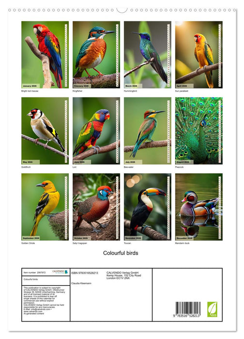 Colourful birds (CALVENDO Premium-Calendar 2026)
