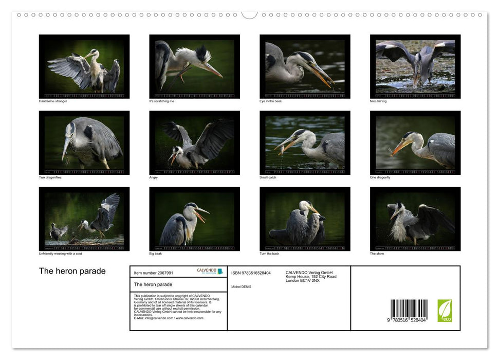 The heron parade (CALVENDO Premium-Calendar 2026)