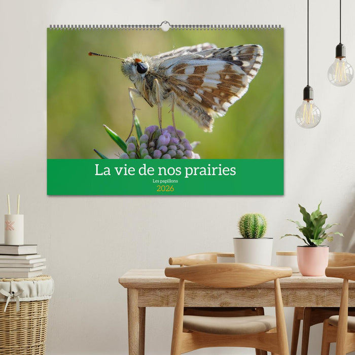La vie de nos prairie, les papillons (CALVENDO Calendrier mensuel 2026)