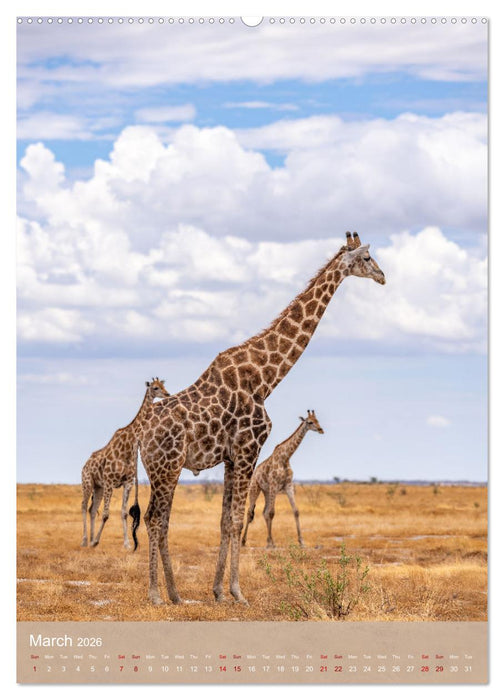Giraffe Tales (CALVENDO Monthly Calendar 2026)