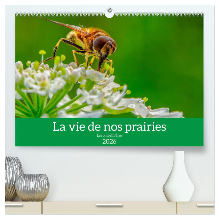 La vie de nos prairie, les ombellifères (CALVENDO Calendrier supérieur 2026)