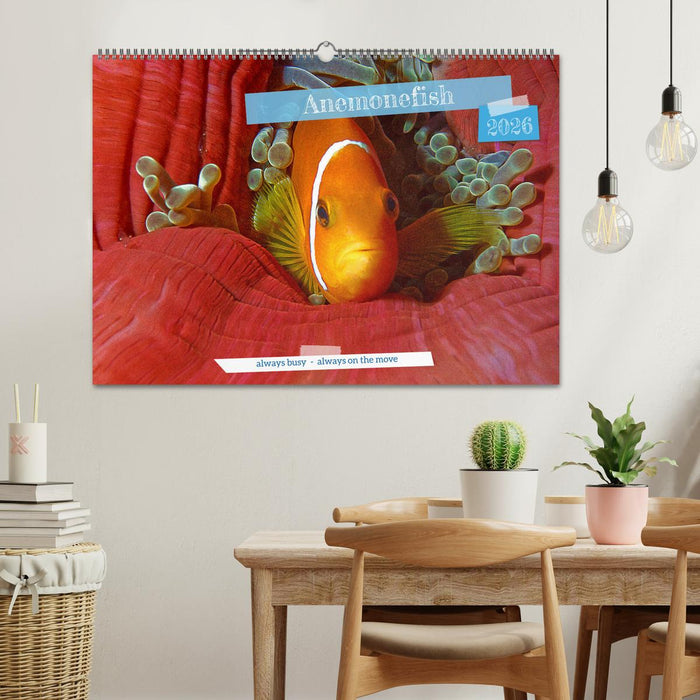 Anemonefish - always busy - always on the move (CALVENDO Monthly Calendar 2026)