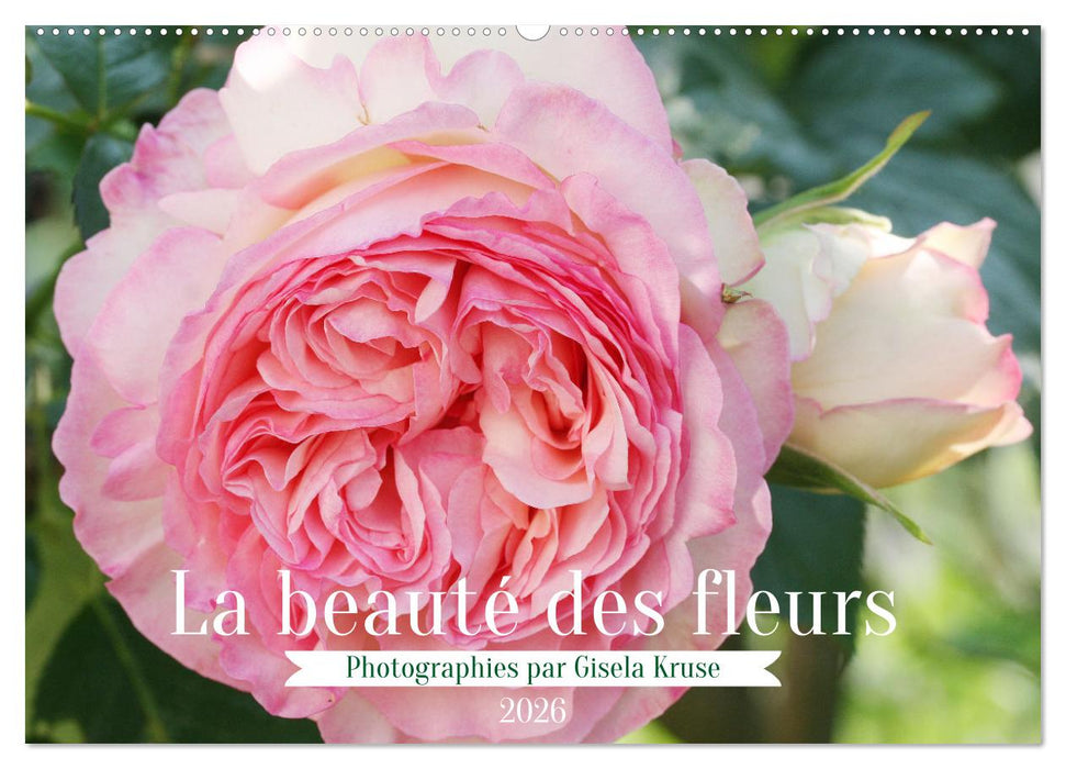 La beauté des fleurs (CALVENDO Calendrier mensuel 2026)