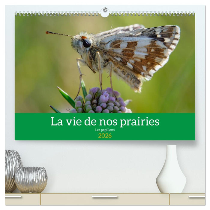 La vie de nos prairie, les papillons (CALVENDO Calendrier supérieur 2026)