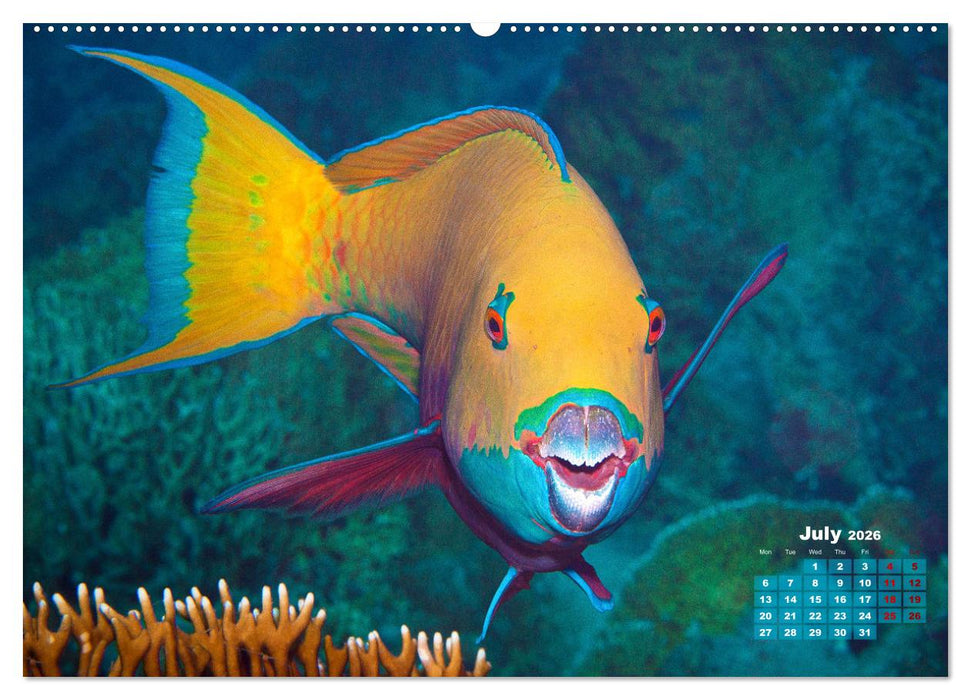 Oceans Alive - A World of Color and Diversity (CALVENDO Premium-Calendar 2026)