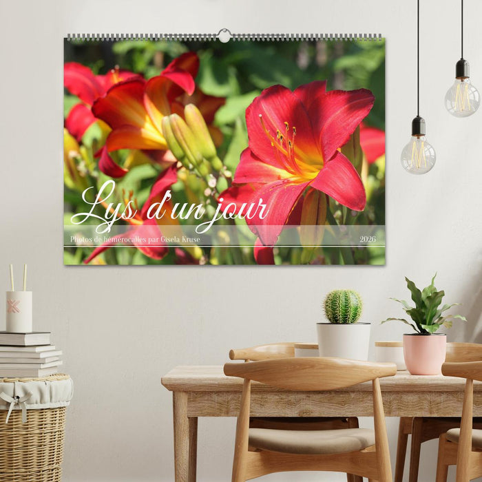Lys d'un jour (CALVENDO Calendrier mensuel 2026)