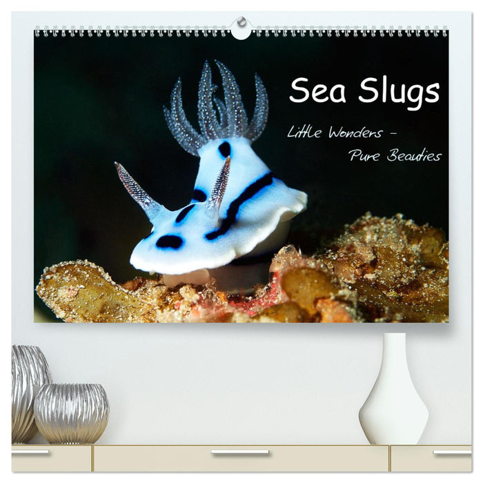 Sea Slugs - Little Wonders - Pure Beauties (CALVENDO Premium-Calendar 2026)