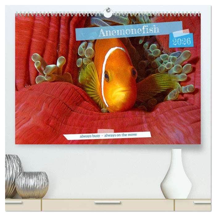 Anemonefish - always busy - always on the move (CALVENDO Premium-Calendar 2026)