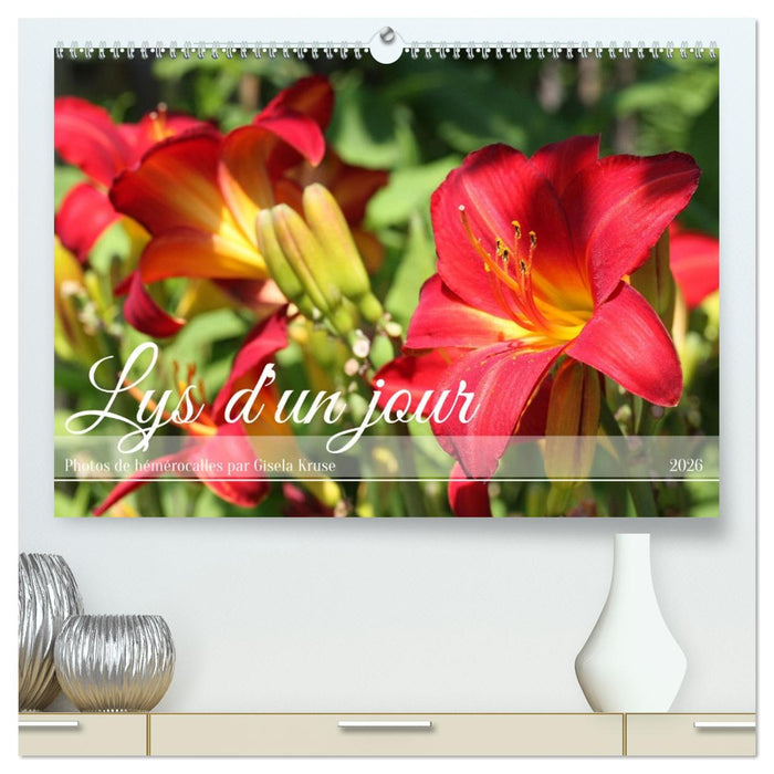 Lys d'un jour (CALVENDO Calendrier supérieur 2026)