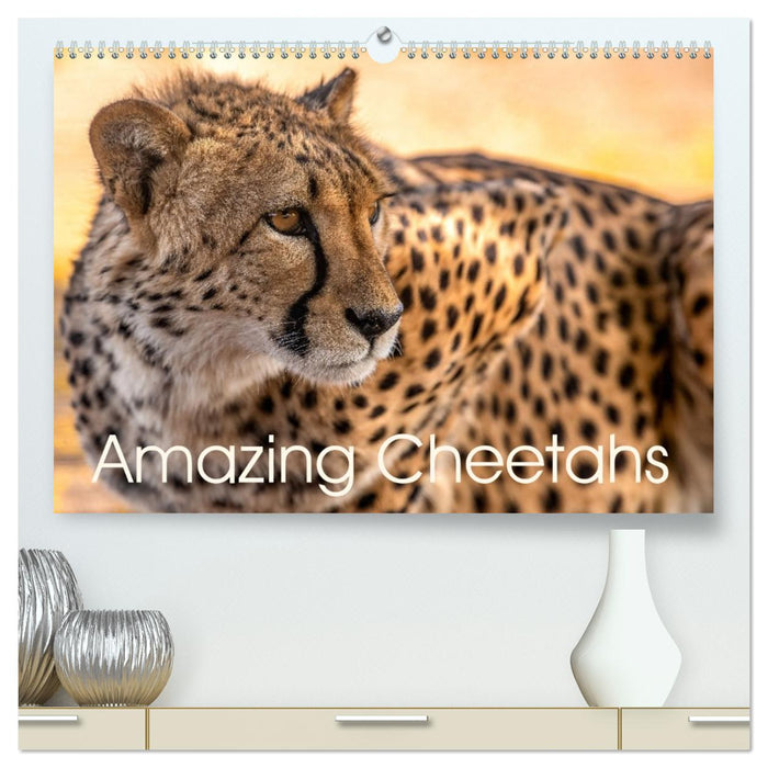 Amazing Cheetahs (CALVENDO Premium-Calendar 2026)