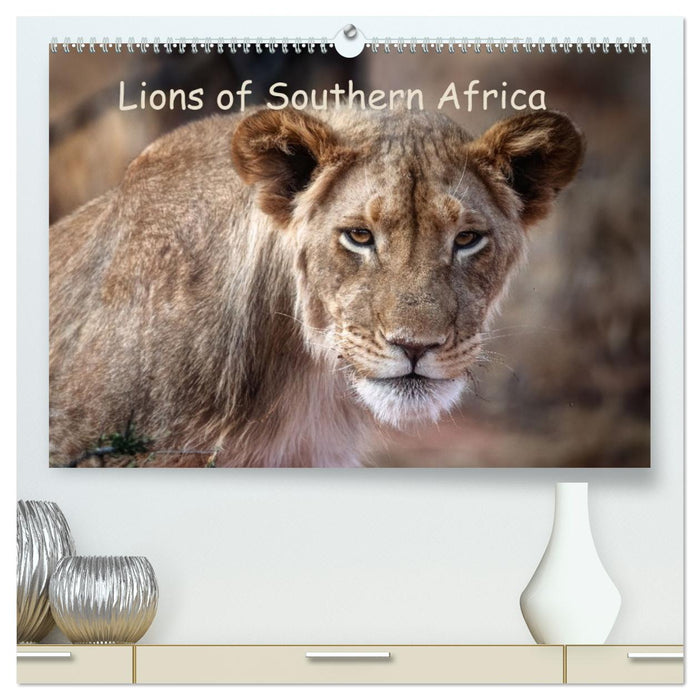 Lions of Southern Africa (CALVENDO Premium-Calendar 2026)