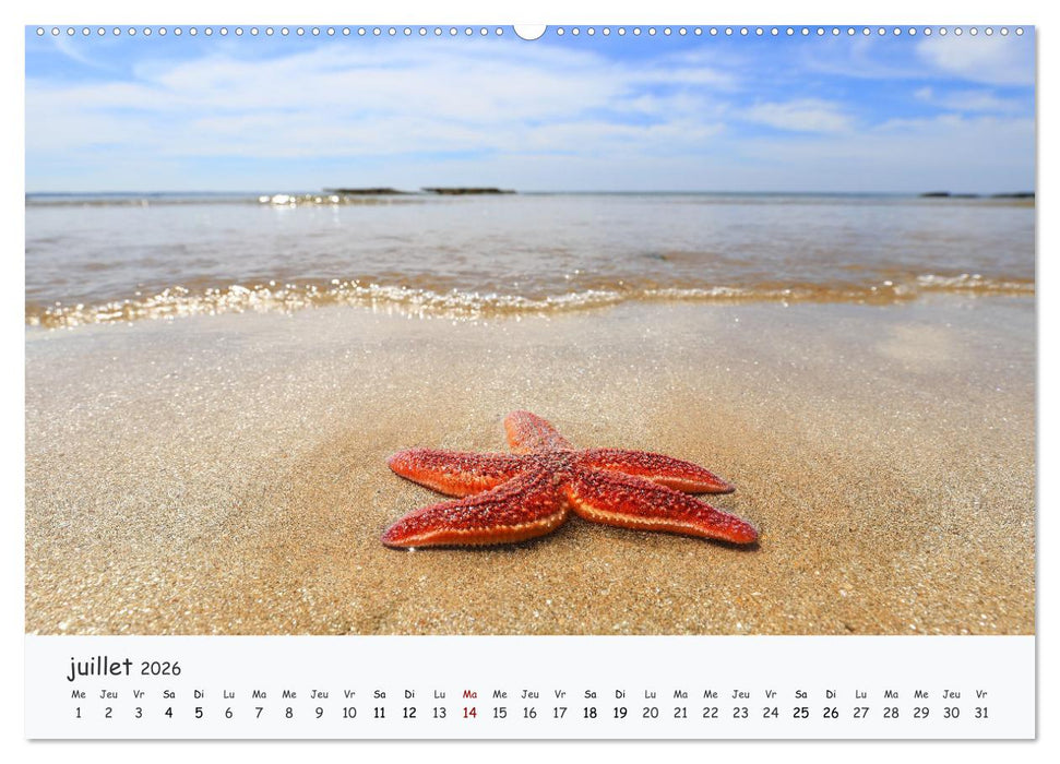 Presqu'île et pays de Guérande - Entre plage et marais (CALVENDO Calendrier supérieur 2026)