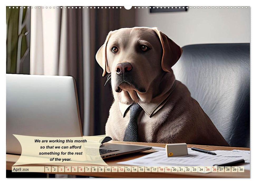 Great fun for Labrador lovers (CALVENDO Premium-Calendar 2026)