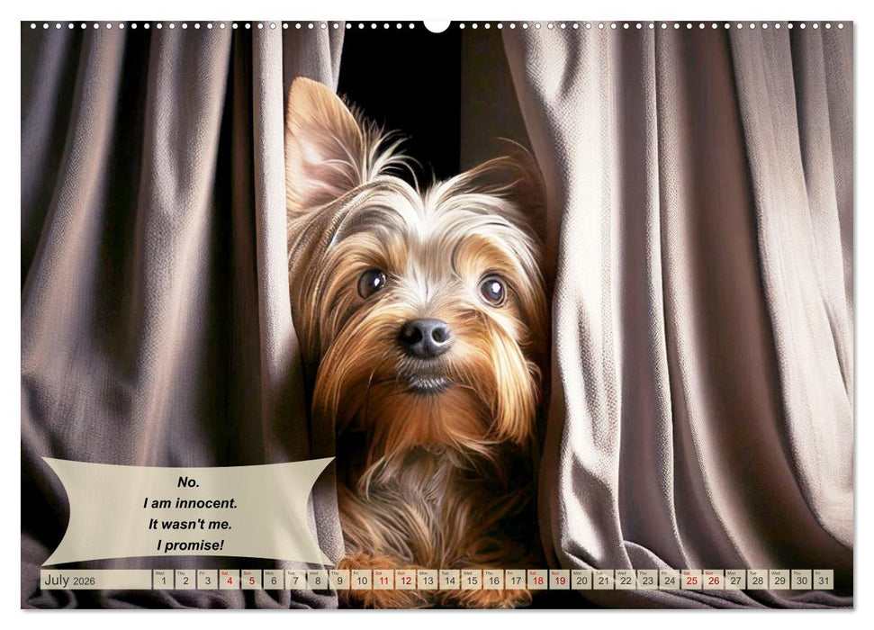Great fun for Yorkshire Terrier lovers (CALVENDO Premium-Calendar 2026)