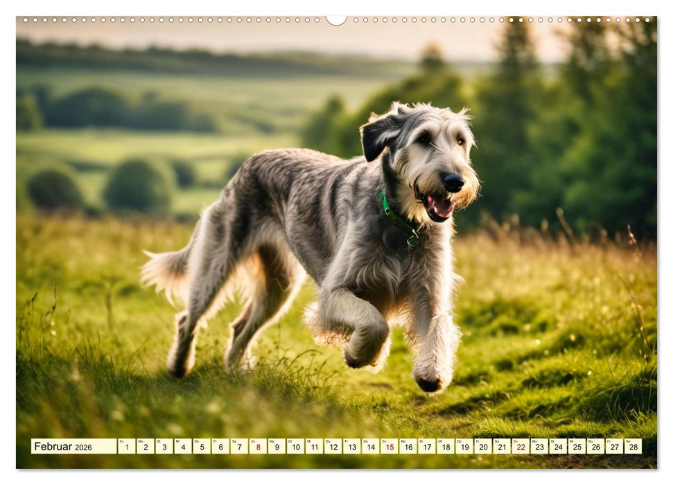 Giganten der Hundwelt (CALVENDO Premium Wandkalender 2026)