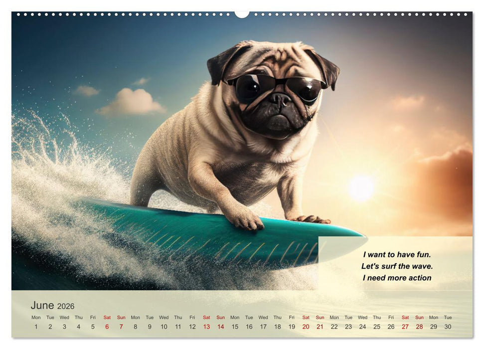 Great fun for pug lovers (CALVENDO Monthly Calendar 2026)