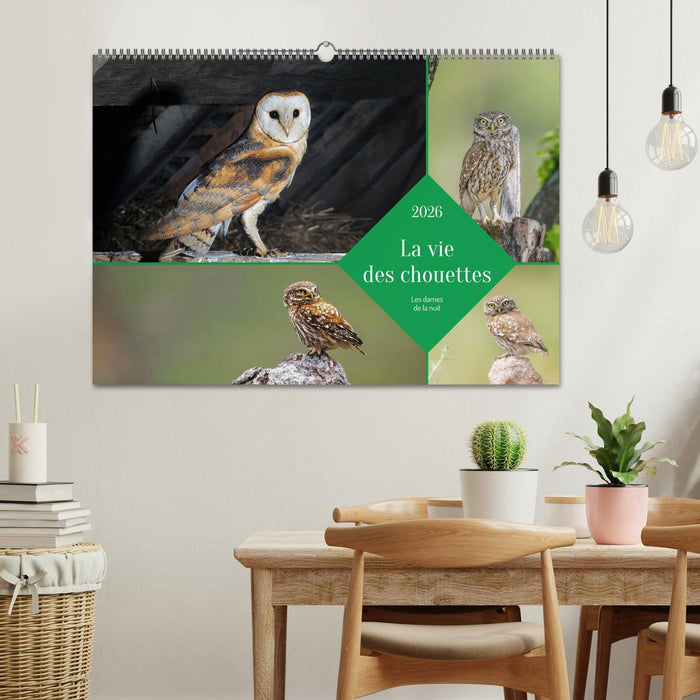 La vie des chouettes, les dames de la nuit (CALVENDO Calendrier mensuel 2026)