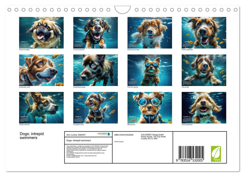 Dogs: intrepid swimmers (CALVENDO Monthly Calendar 2026)