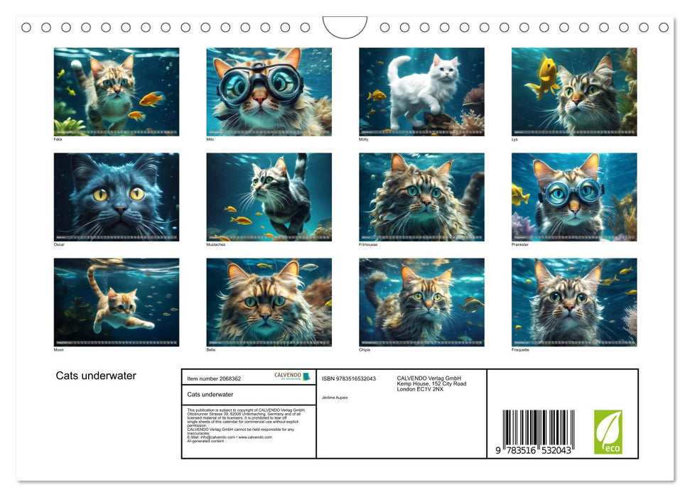Cats underwater (CALVENDO Monthly Calendar 2026)