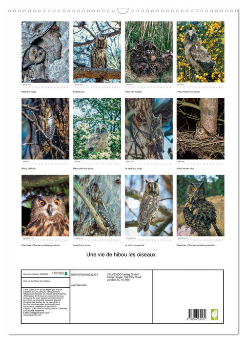 Une vie de hibou les oiseaux (CALVENDO Calendrier mensuel 2026)