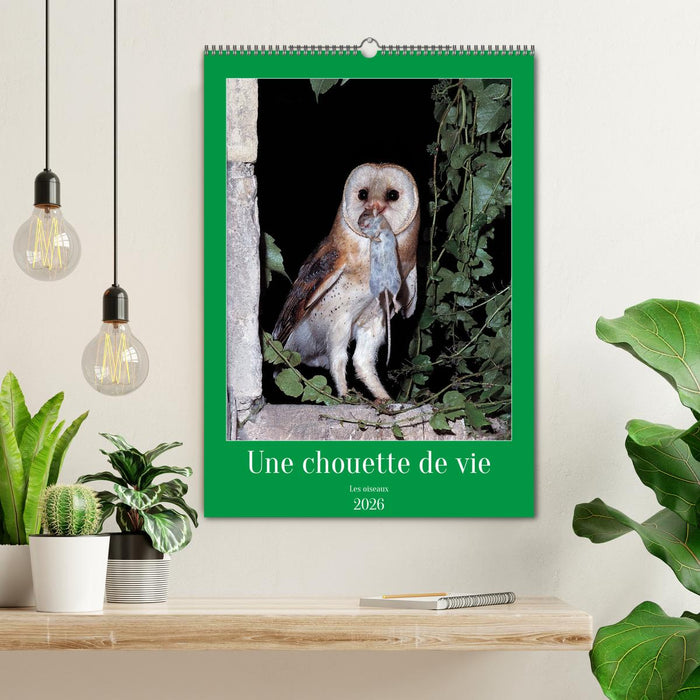 Une chouette de vie, les oiseaux (CALVENDO Calendrier mensuel 2026)
