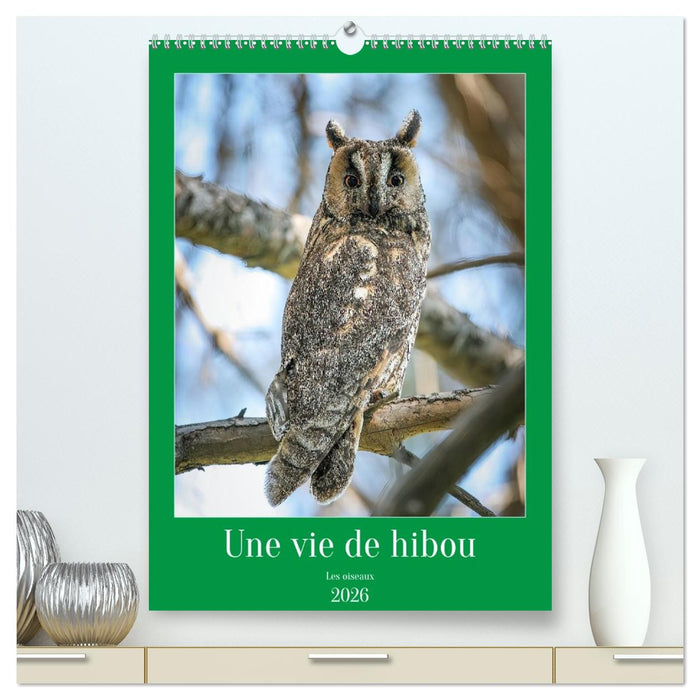 Une vie de hibou les oiseaux (CALVENDO Calendrier supérieur 2026)
