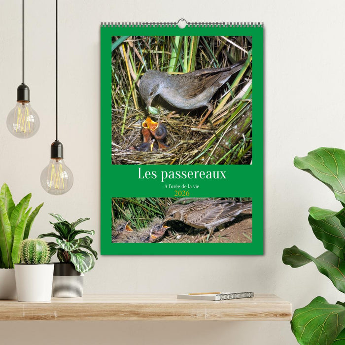 Les passereaux à l'orée de la vie (CALVENDO Calendrier mensuel 2026)