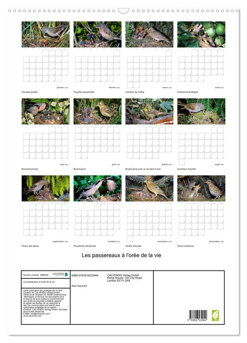 Les passereaux à l'orée de la vie (CALVENDO Calendrier mensuel 2026)