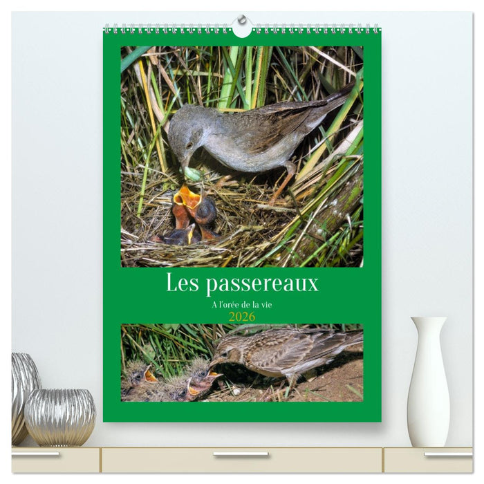 Les passereaux à l'orée de la vie (CALVENDO Calendrier supérieur 2026)