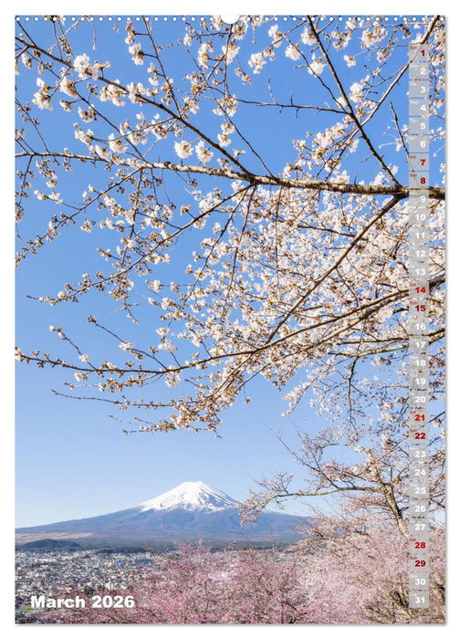 THE MAGIC OF JAPAN Charming impressions (CALVENDO Monthly Calendar 2026)