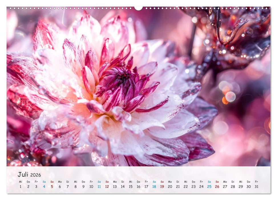 Florale Kompositionen (CALVENDO Premium Wandkalender 2026)