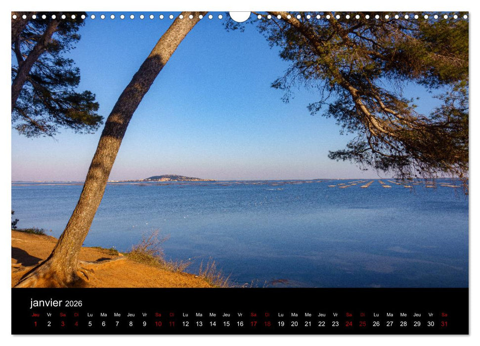 Nature sud de la France (CALVENDO Calendrier mensuel 2026)