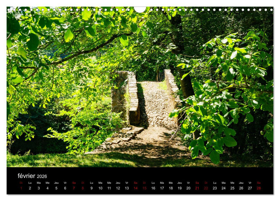 Nature sud de la France (CALVENDO Calendrier mensuel 2026)