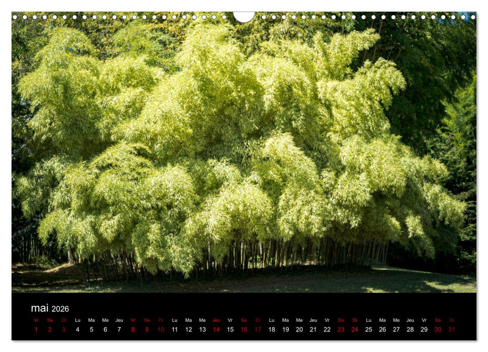 Nature sud de la France (CALVENDO Calendrier mensuel 2026)