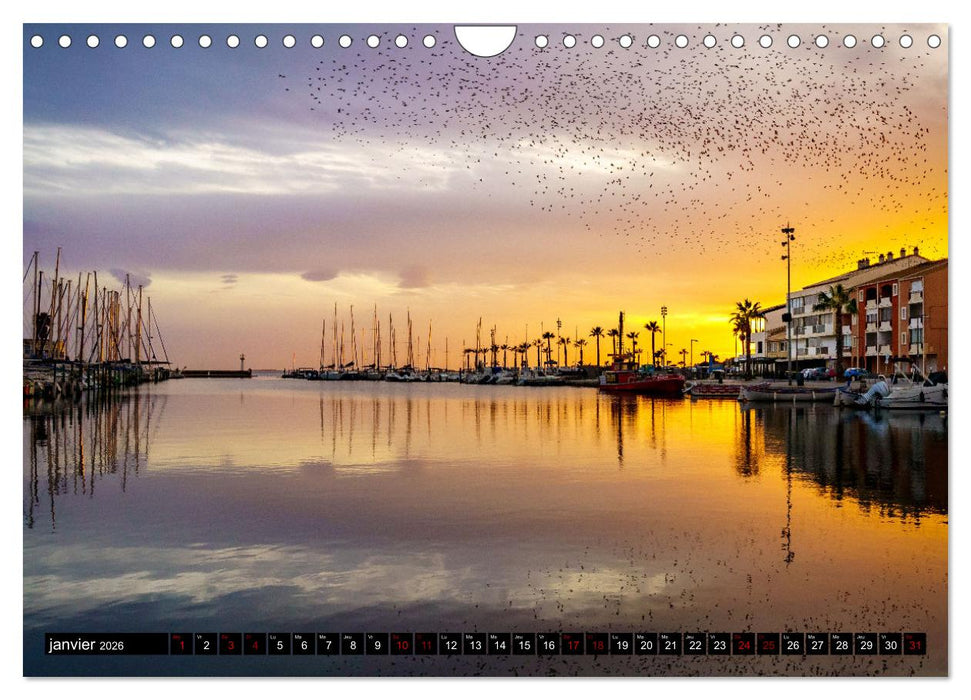 Rêveries en Méditerranée (CALVENDO Calendrier mensuel 2026)