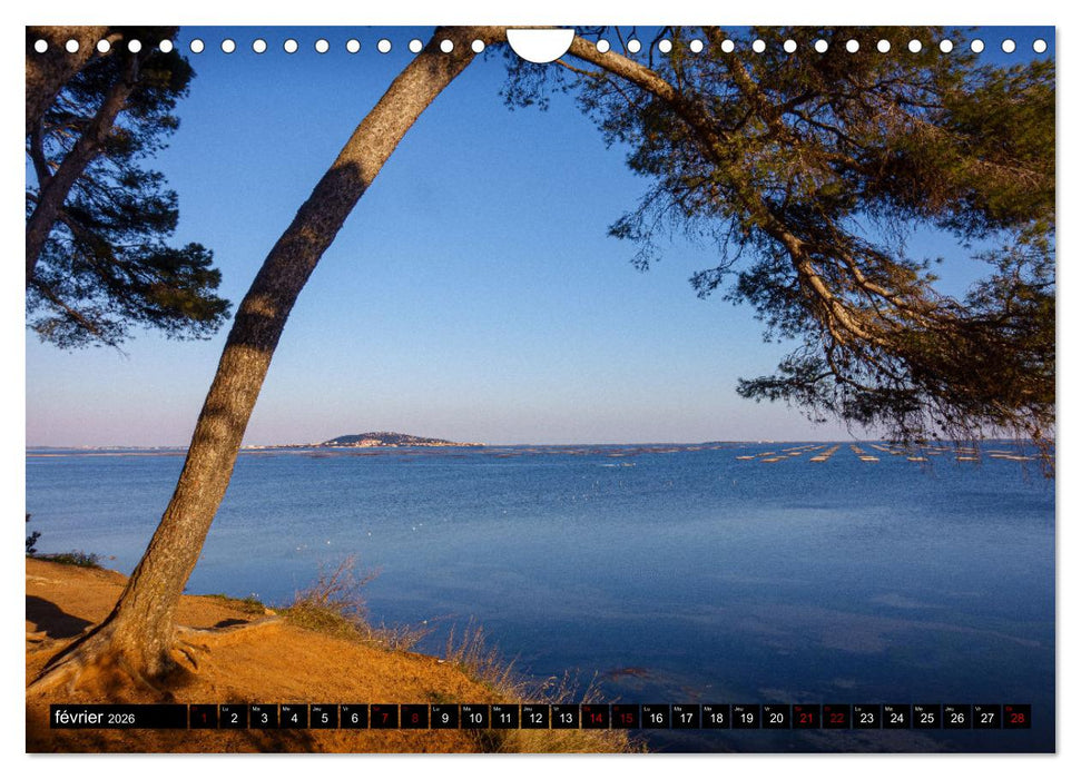 Rêveries en Méditerranée (CALVENDO Calendrier mensuel 2026)