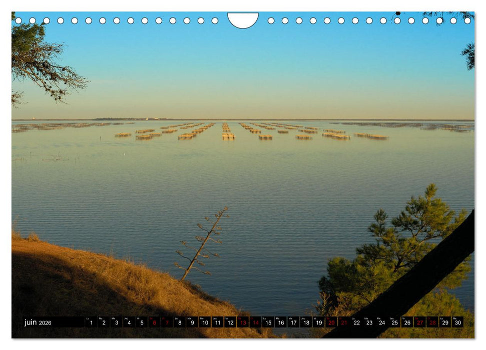 Rêveries en Méditerranée (CALVENDO Calendrier mensuel 2026)