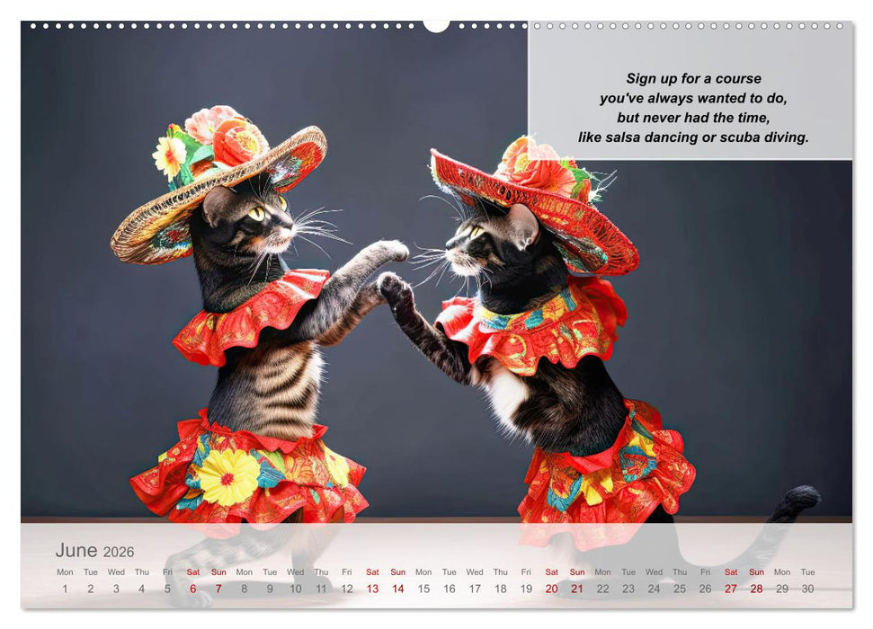 Positive new start after divorce (CALVENDO Premium-Calendar 2026)