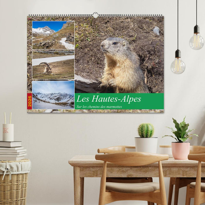 Les Hautes-Alpes sur les chemins des marmottes (CALVENDO Calendrier mensuel 2026)