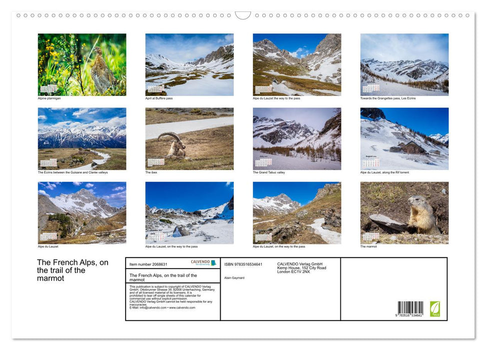 The French Alps, on the trail of the marmot (CALVENDO Monthly Calendar 2026)